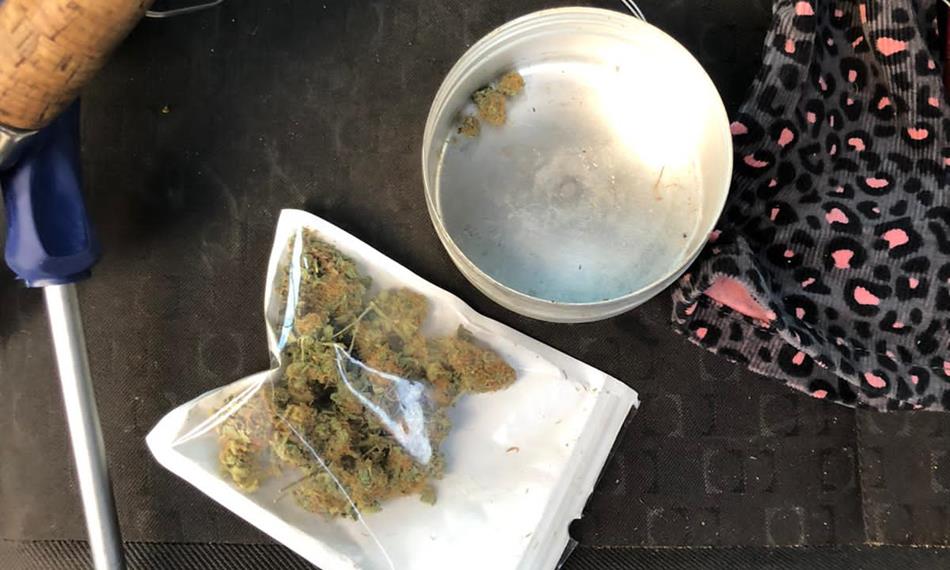 2020-12-4-1357sušené konopí 1.JPG